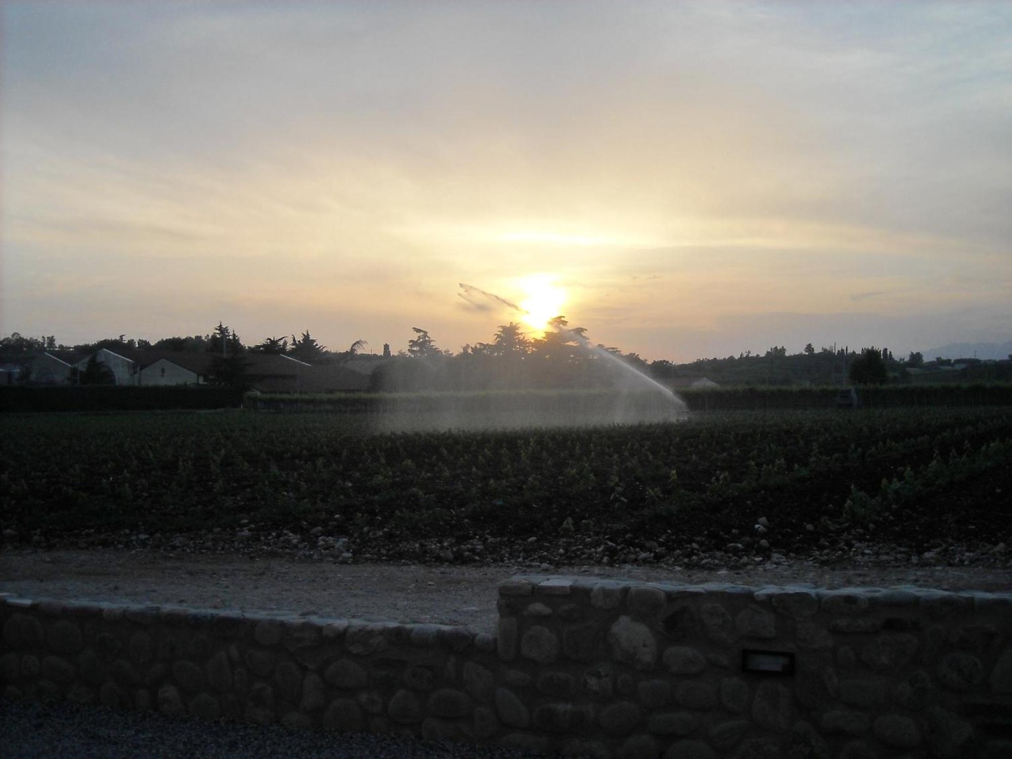 ברדולינו Agriturismo Le Campagnole מראה חיצוני תמונה